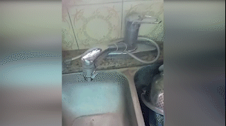 Ciudad de la furia: ola de reclamos en La Plata por falta de agua en medio del calor agobiante