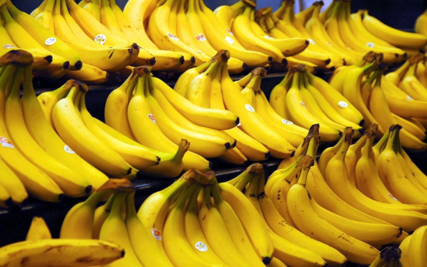 Qué es el "dólar banana" y cómo puede afectar en el precio de la fruta