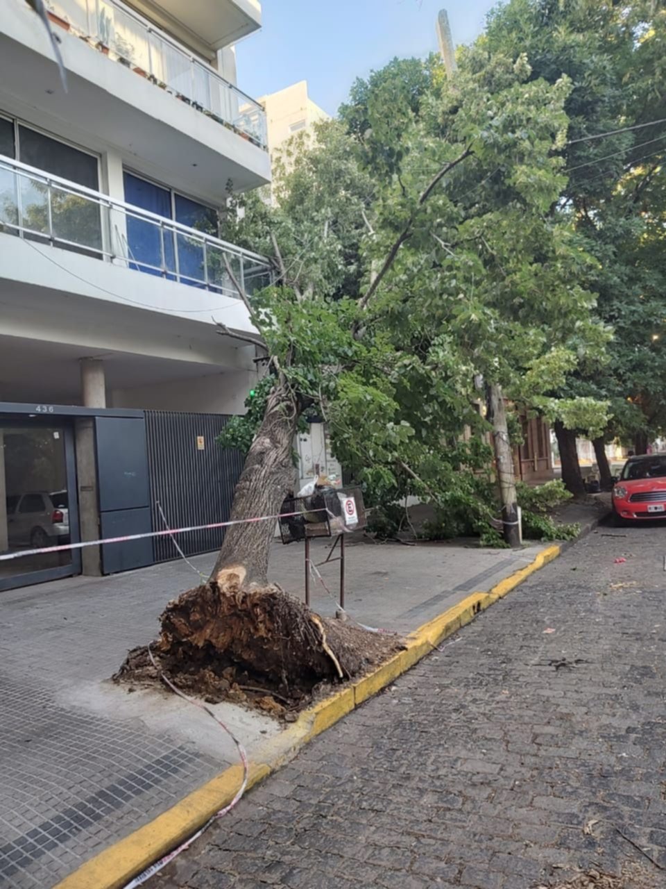 La tormenta fue leve, pero dejó secuelas: un árbol enorme a punto de caerse en barrio Norte