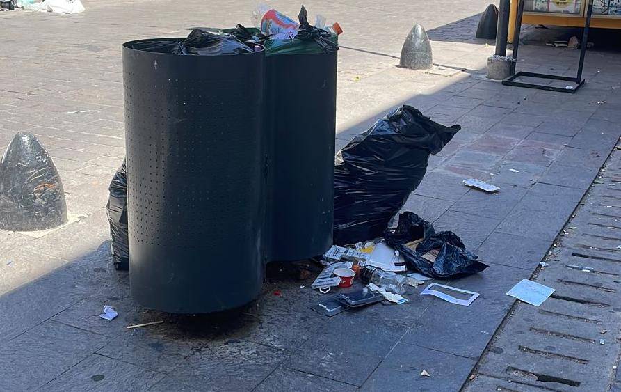 Reclaman por falta de higiene urbana en la calle 8