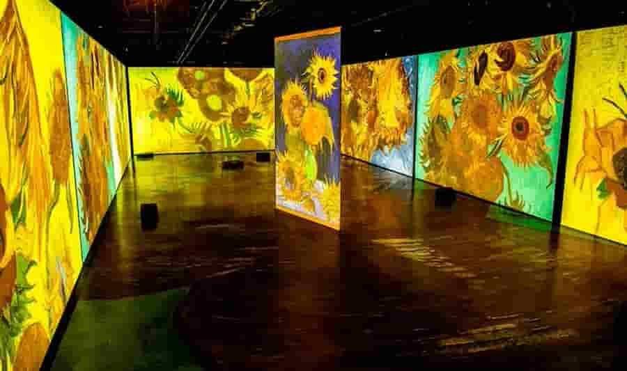 Vincent Van Gogh: vuelve al país la muestra inmersiva del genio holandés