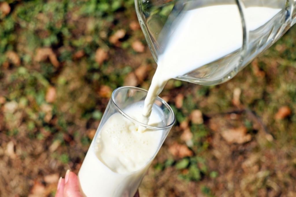 Alimentación: el dilema para sustituir la leche por productos similares