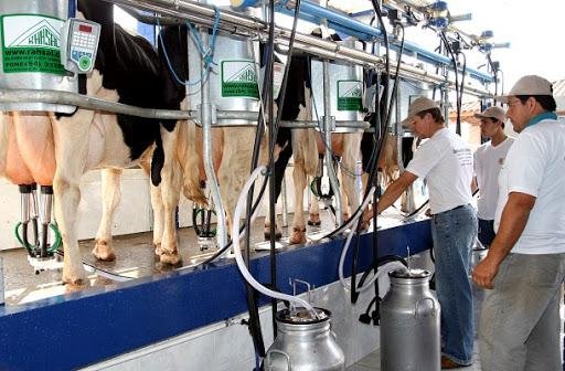 Cuáles son los alimentos que aumentarán por el impacto del dólar soja 2