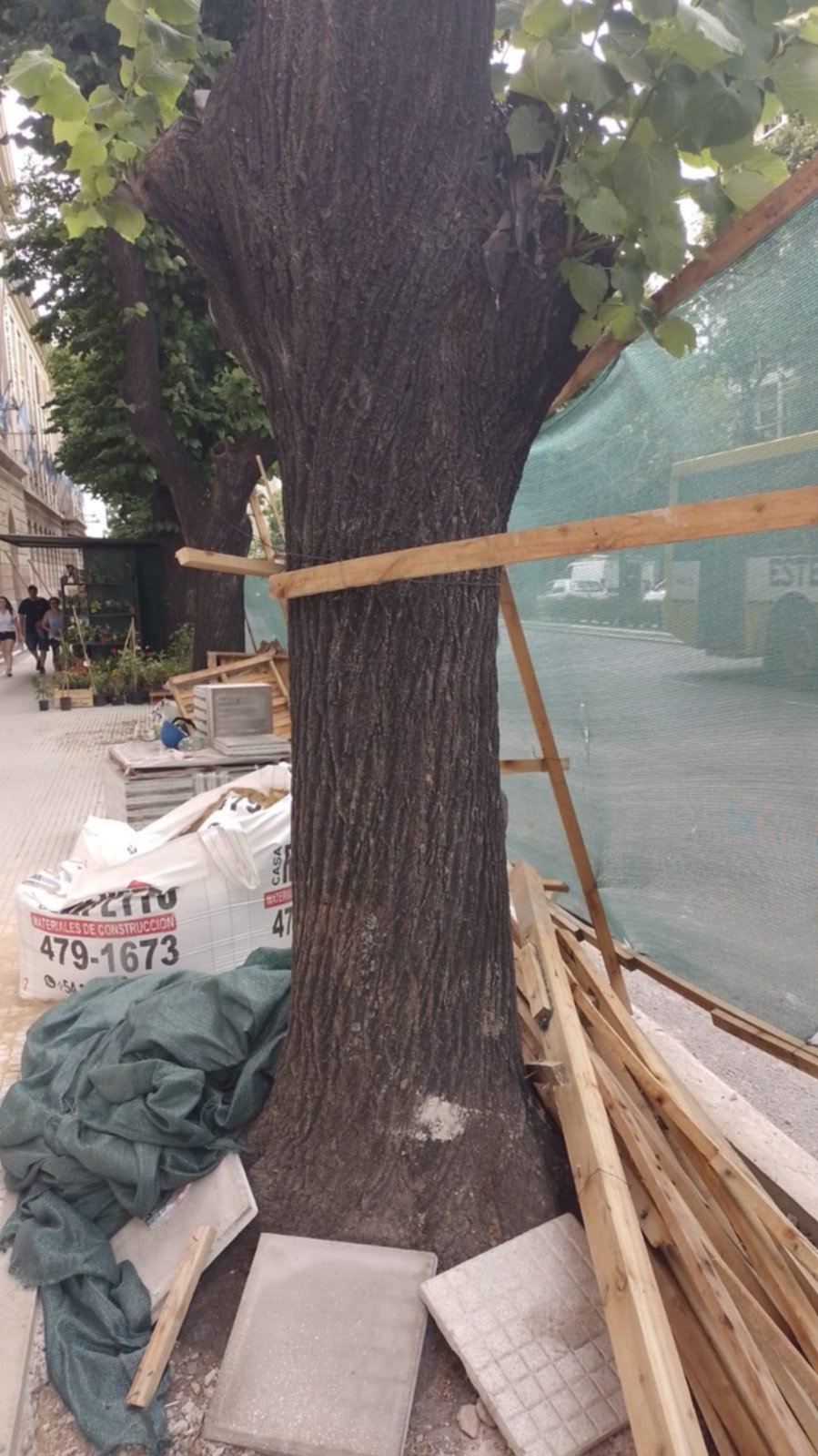 Veredas: piden preservar los árboles