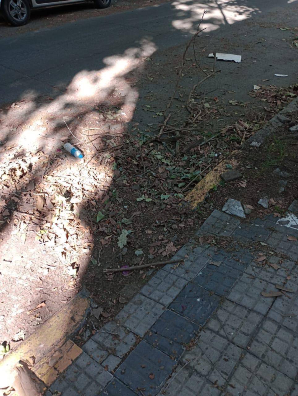 Reclamo por alta de limpieza en 115, 46 y 47