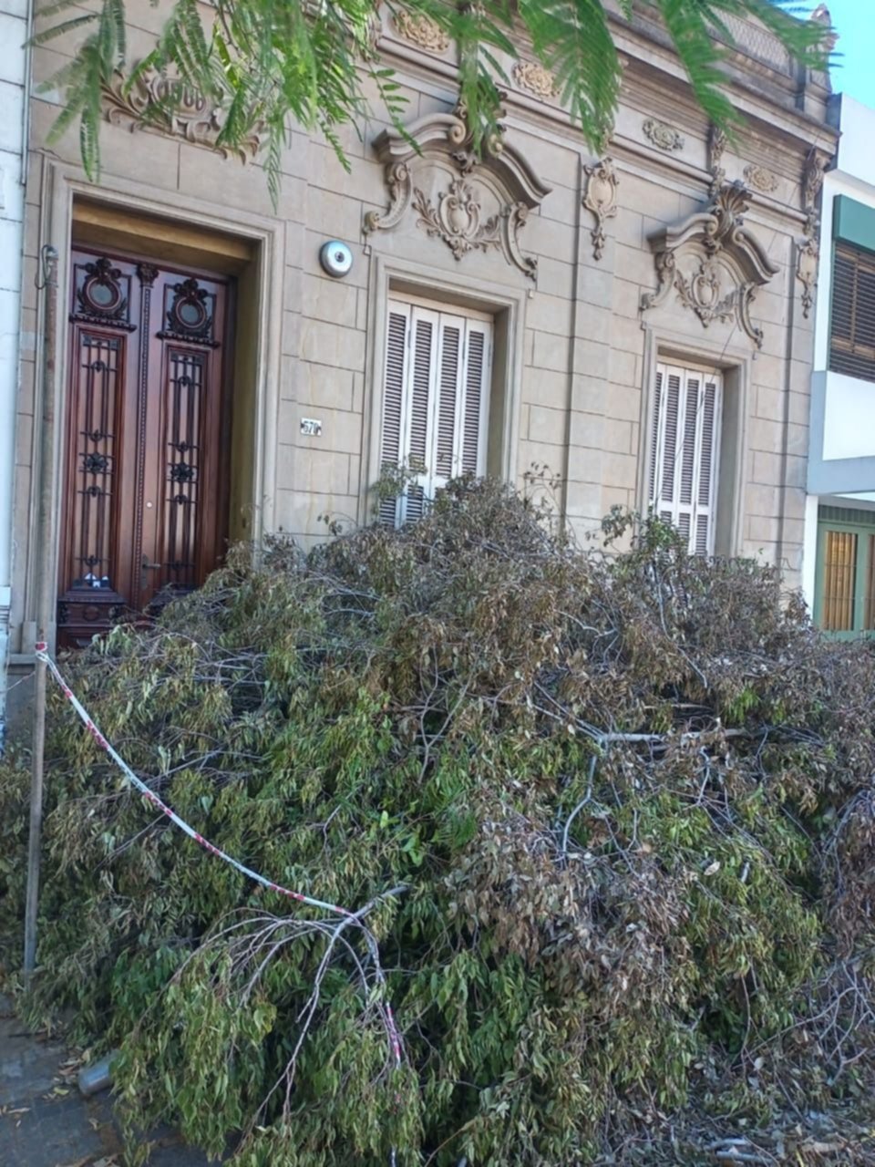 La tormenta tumbó un árbol y hace malabares para entrar y salir de su casa desde el viernes