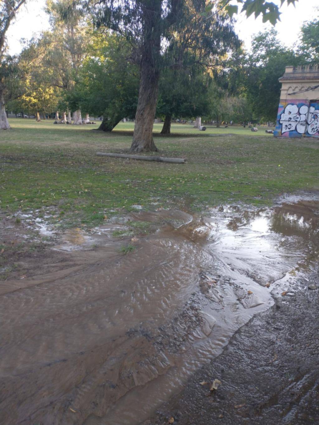 Queja por un “manantial” en la zona de 50 y 116