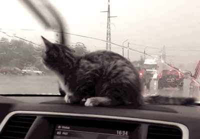 Se largó a llover en La Plata pero... ¿hasta cuándo?: así sigue el clima