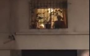 VIDEO. La abuela del pueblo: hinchas argentinos le fueron a cantar a la de Messi y se hizo viral