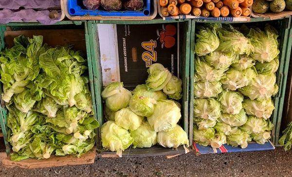 Sequía, en la verdulería: la lechuga ya cotiza en “verdes”