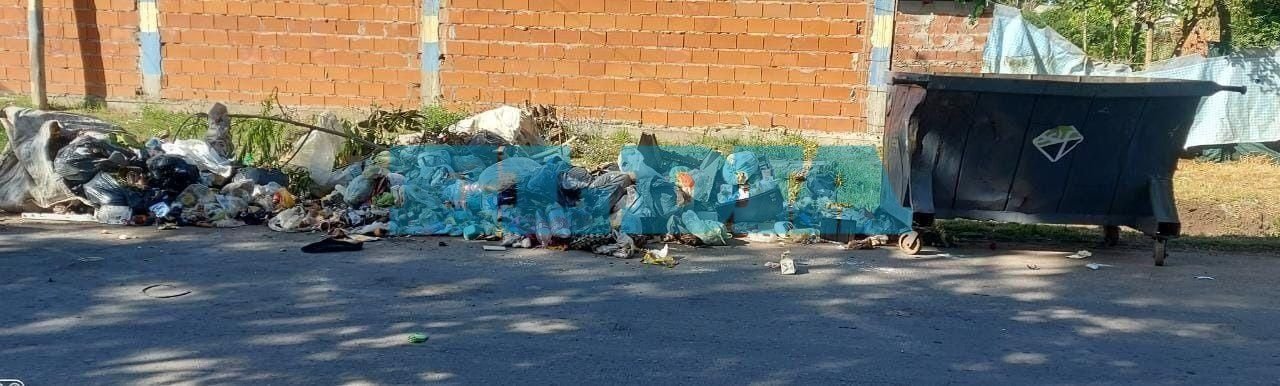 Lamento vecinal por formación de  un basural: "Así, ya no se puede más"