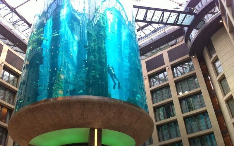 Accidente en el acuario cilíndrico más grande del mundo