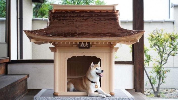 ¡Una ganga! La exclusiva casita para perros que cuesta 150 mil dólares
