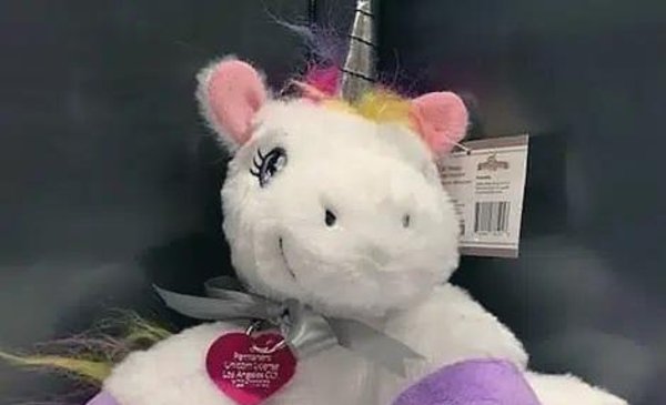 A girl from Los Angeles got a license to have a unicorn… when she finds one