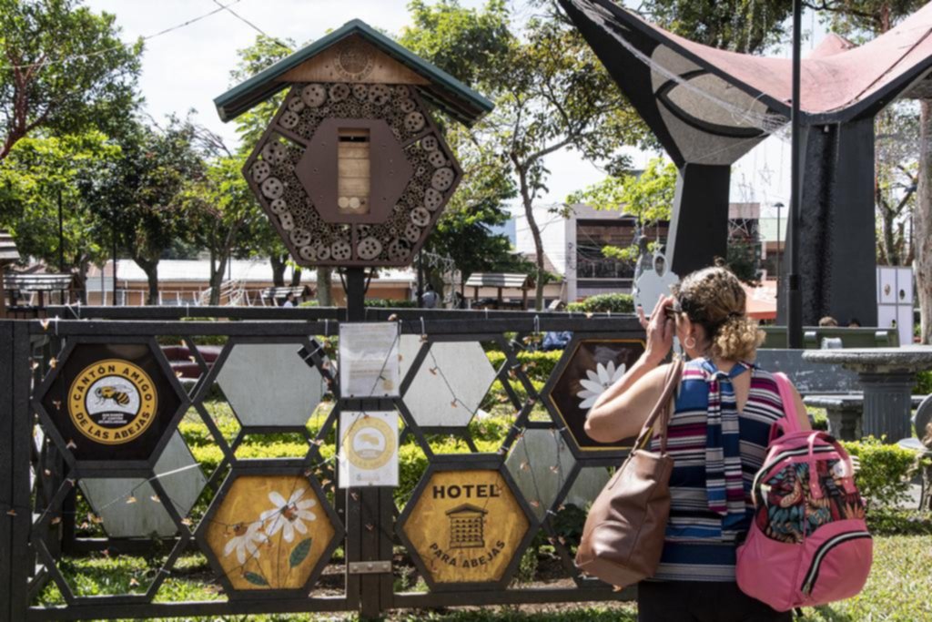 “Hoteles” para abejas solitarias que buscan un lugar para reproducirse