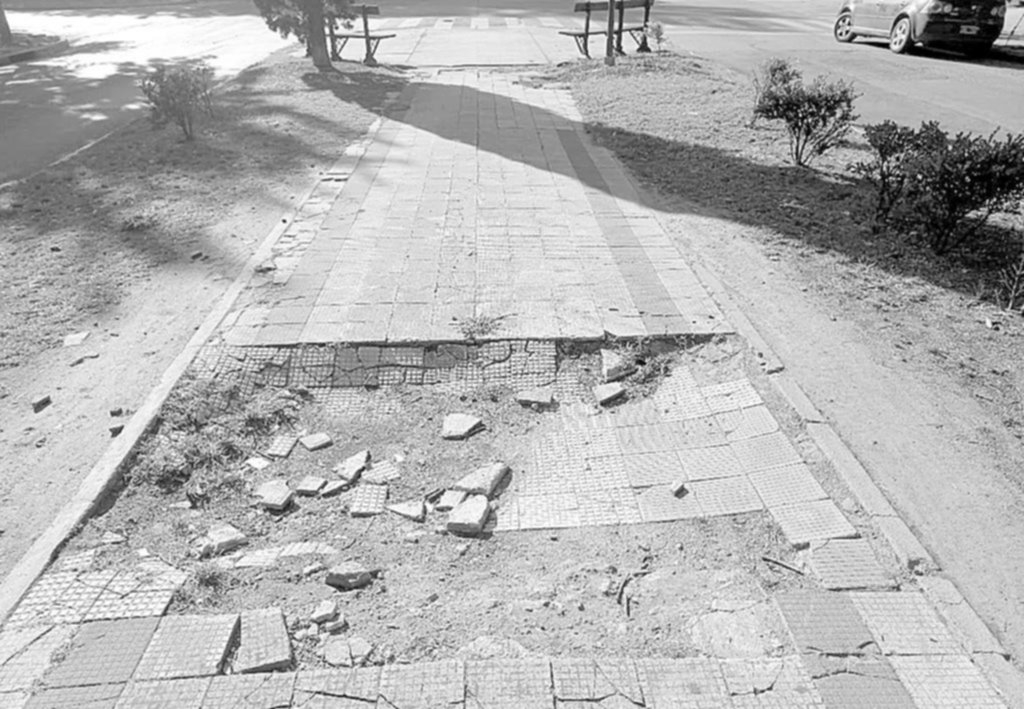 Reclamos por abandono en calle 13 desde 60 a 64