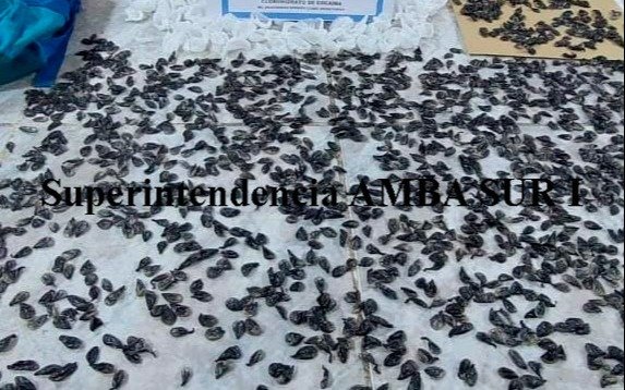 Quilmes: Allanan un bunker de drogas en La Cañada