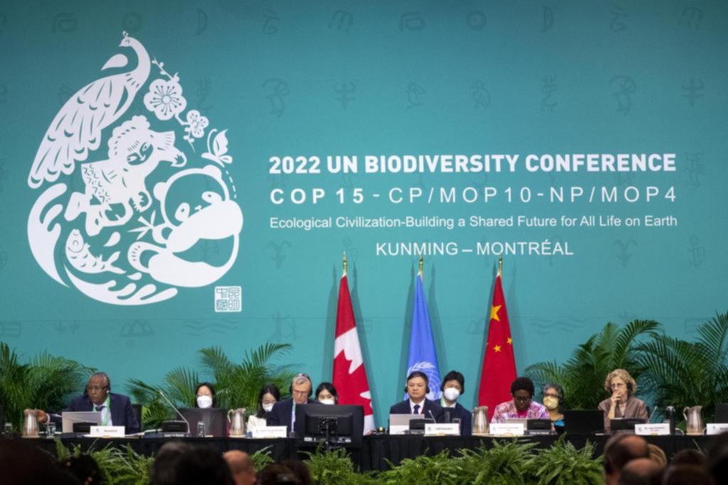 Biodiversidad: un paso por el medio ambiente