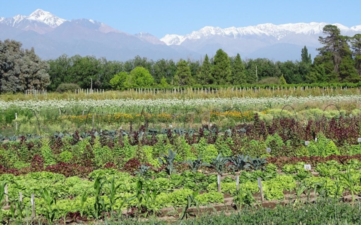 Promueven la agricultura regenerativa entre productores de alimentos