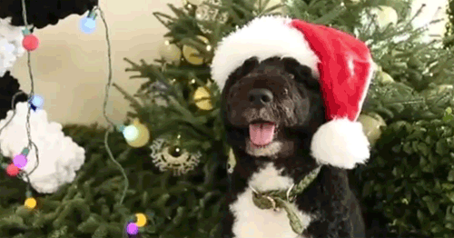 Para seguir festejando la Navidad: así seguirá el clima en nuestra Ciudad