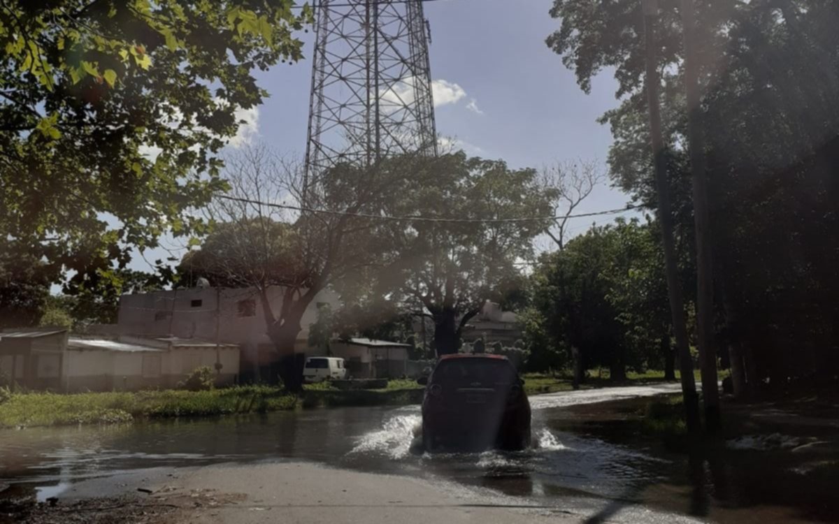 A metros de la Facultad de Informática, una laguna