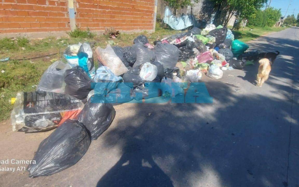 Villa Elvira: denuncian que no recolectan  la basura desde hace más de una semana