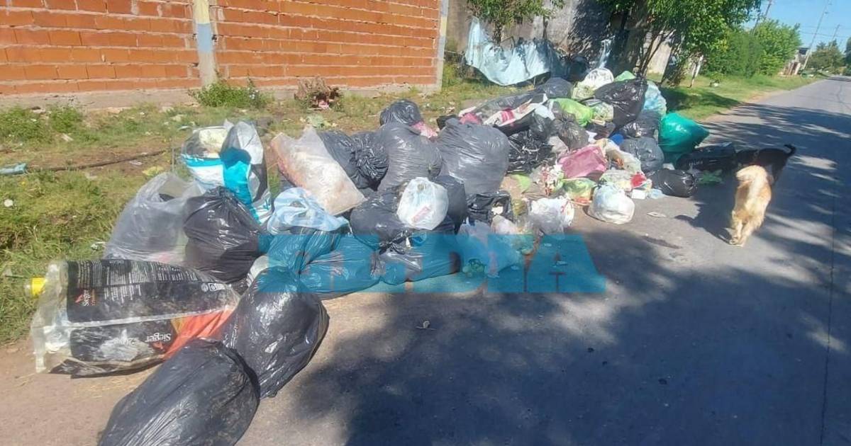 Villa Elvira: denuncian que no recolectan la basura desde hace más de ...