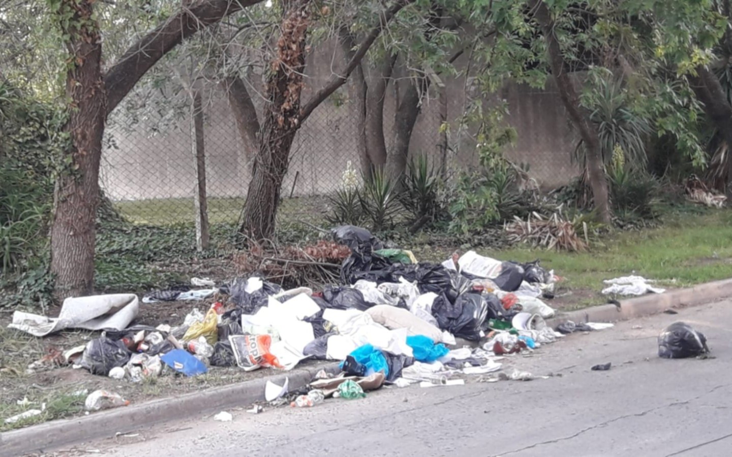 Vecinos reclaman por recolección de basura y barrido desde hace dos meses