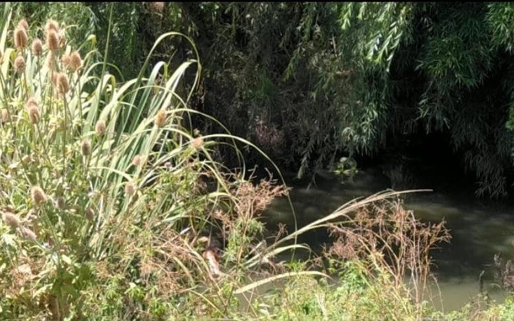 Se conoció cómo murió la mujer hallada a metros del río en Berisso: qué dice la autopsia