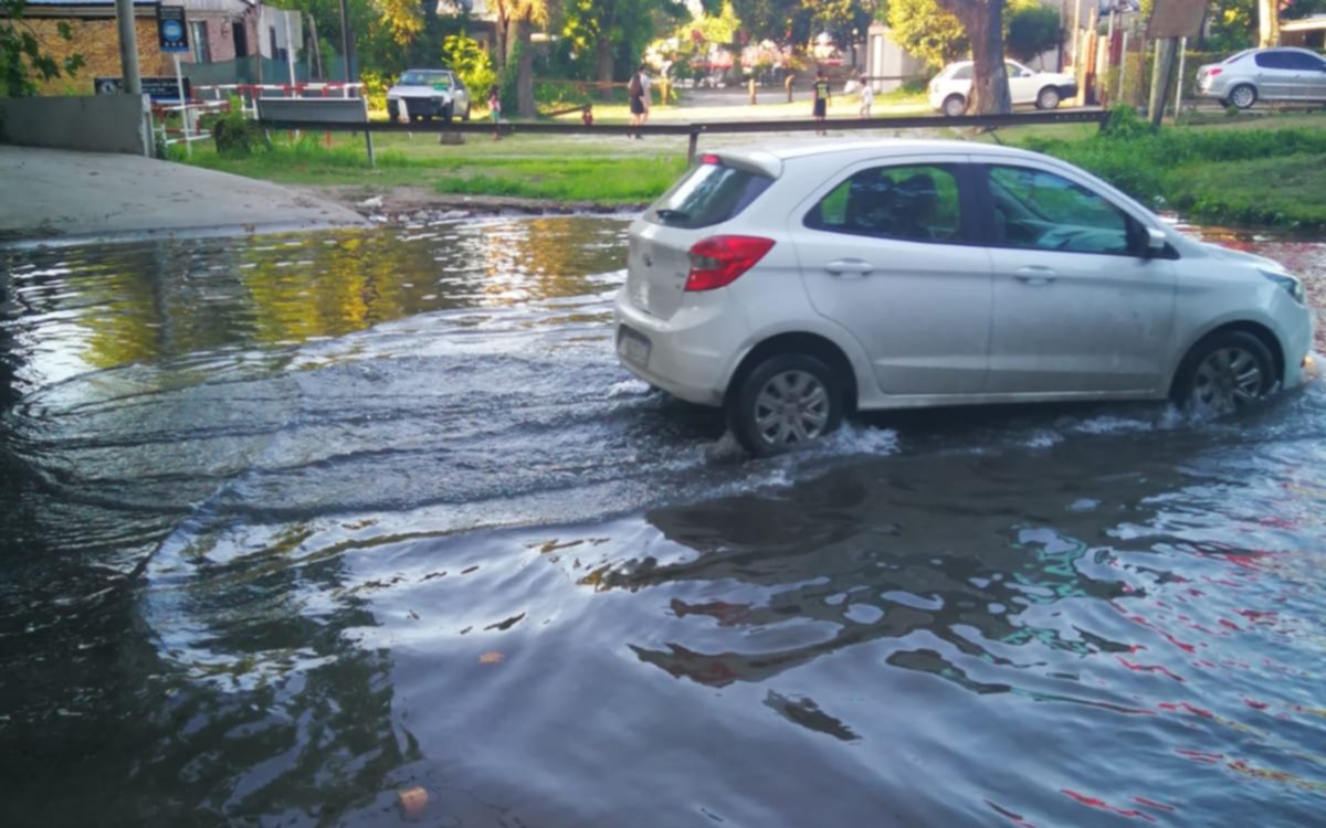 FOTOS. Grave perdida de agua en el bosque
