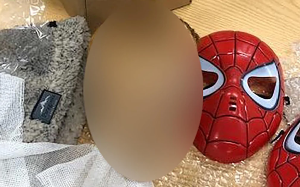 Macabro hallazgo en San Telmo: la cabeza momificada de un niño se dirigía a Estados Unidos