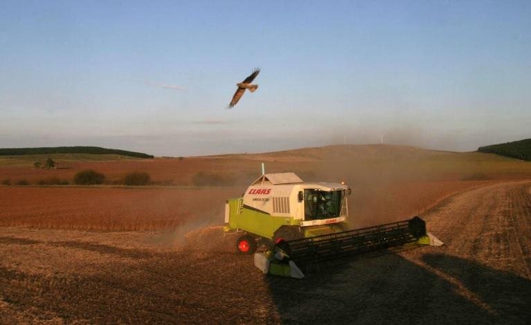 El campo pide la quita de retenciones y reglas claras