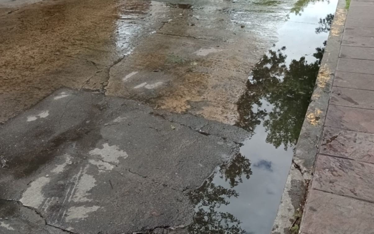 Pérdida de agua en la vereda de un jardín de La Plata complica actividades programadas