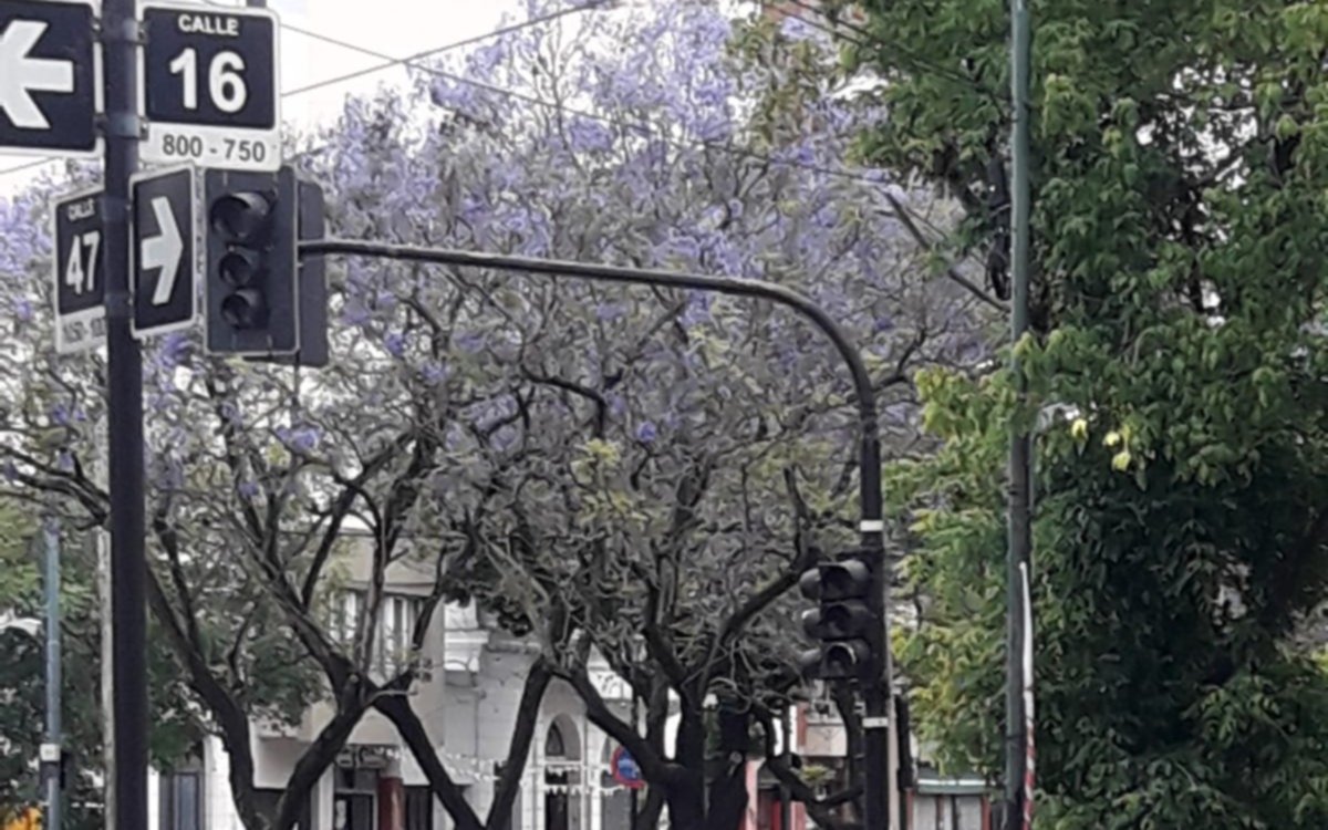 Malestar y preocupación por semáforos que no funcionan en una zona donde hay escuelas 