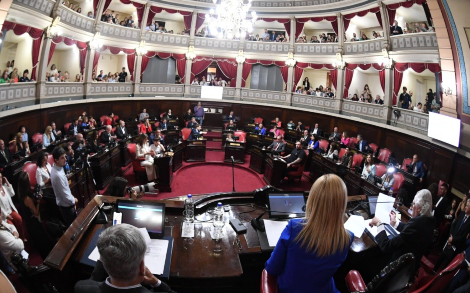 Senado bonaerense: juraron los nuevos legisladores y se designaron autoridades