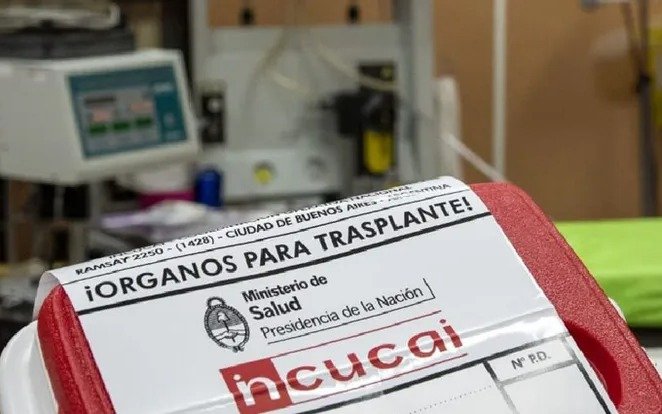 Milei confirmó qué pasará con Incucai, tras la polémica de "la venta de órganos"
