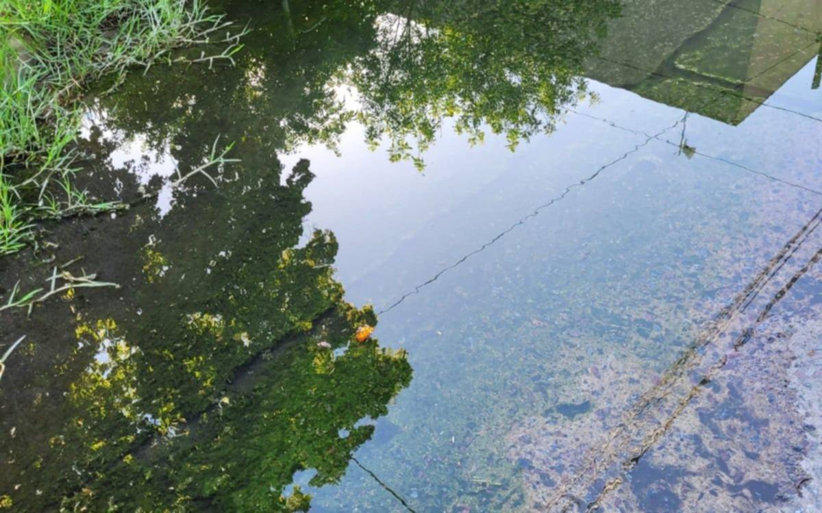 Un desborde cloacal lleva más de 40 días en un barrio de La Plata