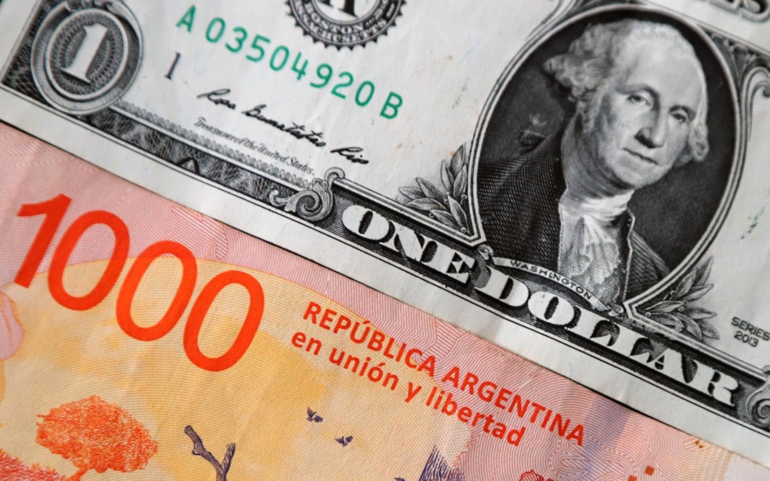 Dólar blue hoy y dólar hoy: a cuánto cotiza este martes 12 de diciembre