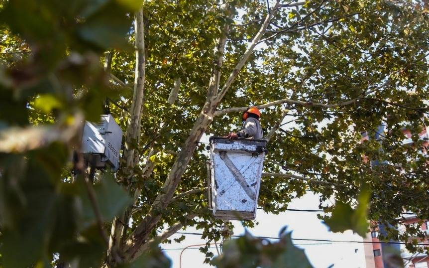 Murió un trabajador municipal en operativo de poda en Quilmes