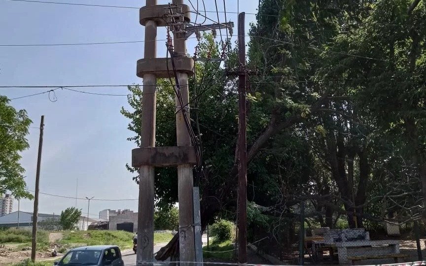 Bernal: reclaman remoción de árbol a punto de caer sobre transformador