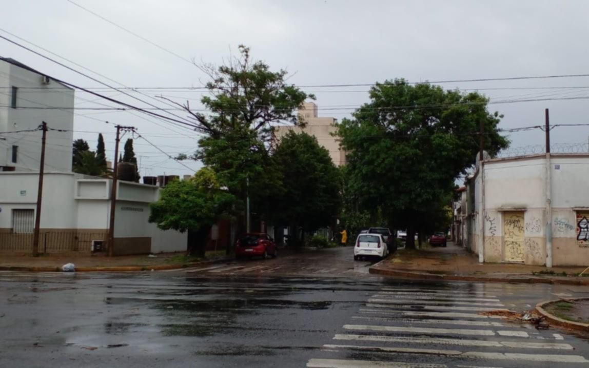 Se restableció el servicio al 65 por ciento de los usuarios de Edelap tras la tormenta en La Plata