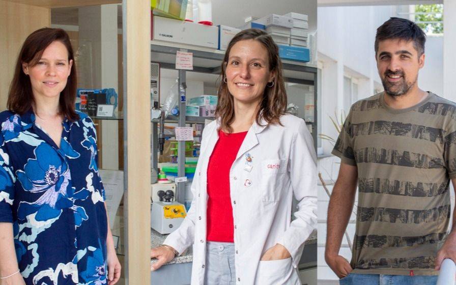 Tres científicos de Conicet La Plata llevarán sus investigaciones a laboratorios de Estados Unidos