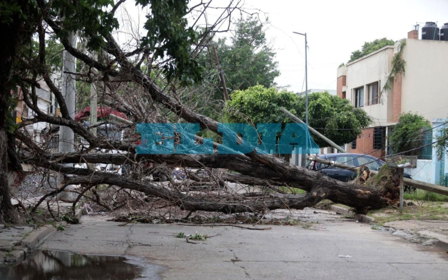 Cuáles fueron las causas que derivaron el feroz temporal que atravesó la Provincia