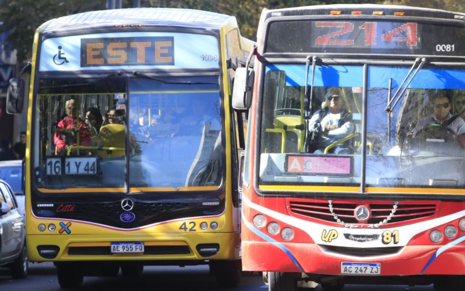 Alertan que el costo de los boletos de micros podrían "multiplicarse por diez"