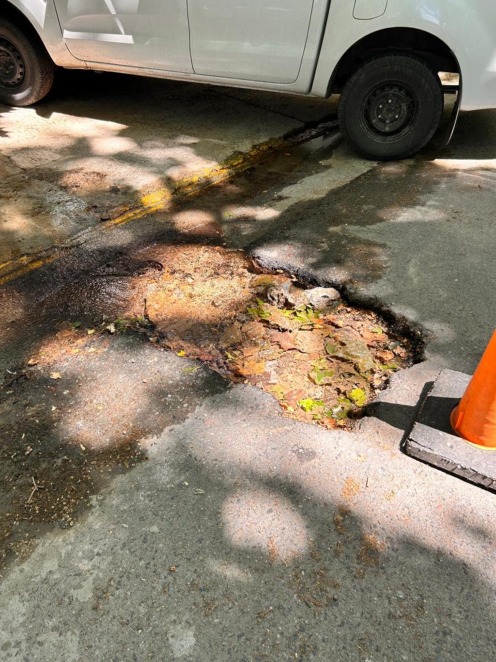 Una pérdida de agua en la calle 50, dentro del Bosque