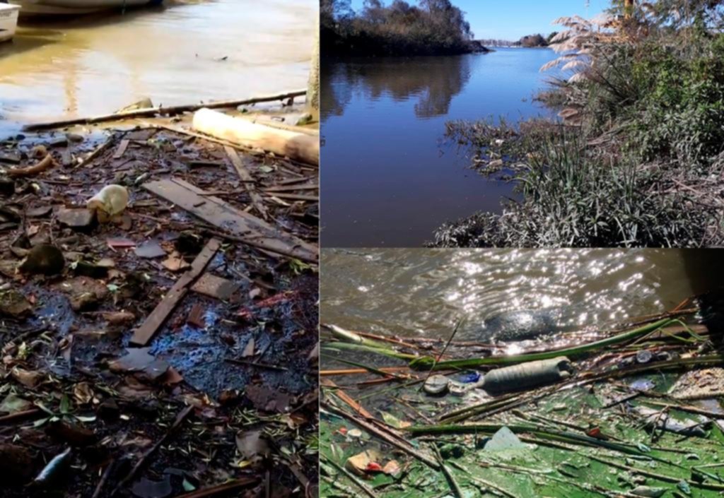 Fallo judicial contra el municipio de La Plata, la Provincia y ABSA por “contaminar”