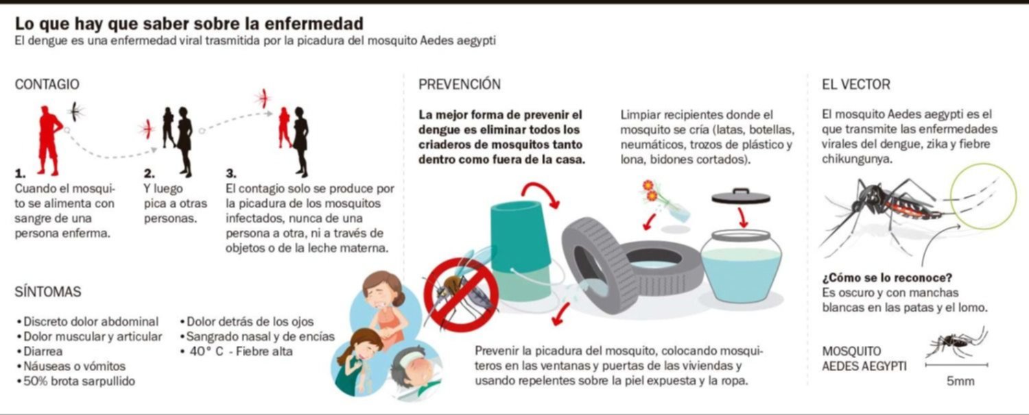 Alerta por los mosquitos y el dengue: cómo prevenir el contagio sin gastar de más