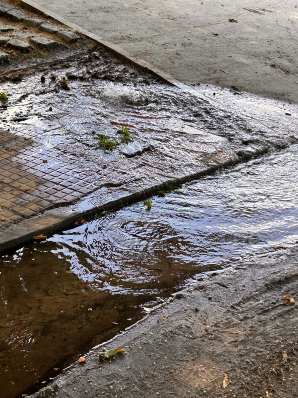 Reclama por una pérdida de agua al lado de ABSA