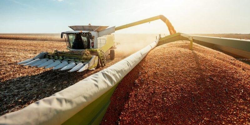 La “decepción” del campo, otro frente de conflicto que se le abre al Gobierno