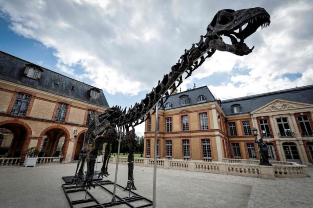 6 millones de euros por un esqueleto de dinosaurio